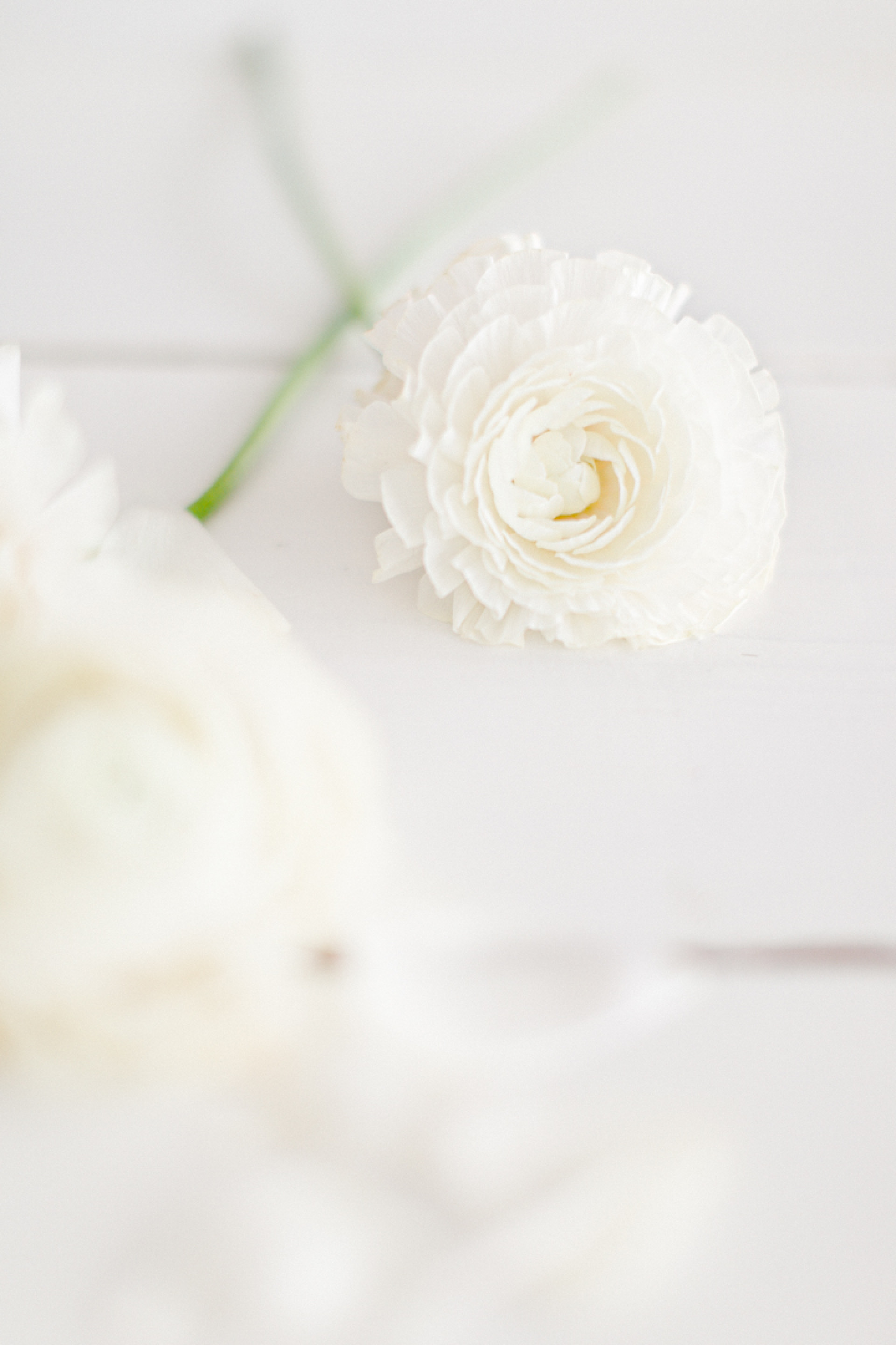 Inspiration Printemps